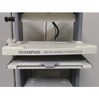 Endoscopy trolley - Olympus - WM-N60 Mobile Workingstation