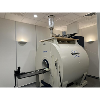 MRI - Brucker - ClinScan