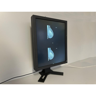 mammography monitor - Eizo - RadioForce G51