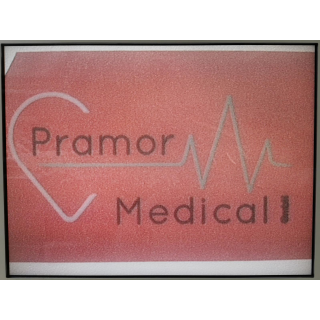 Endoscopy Camera Head - Karl Storz - 2220030 PAL S3 IMAGE 1- Endoskopie-Kamerakopf