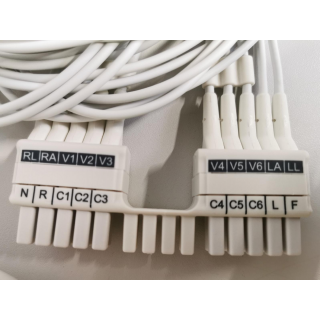 12-Lead ECG Acquisition Module - Welch Allyn - AM12 ECG Acquisition Module - 12-Kanal-EKG-Aufnahmemodul