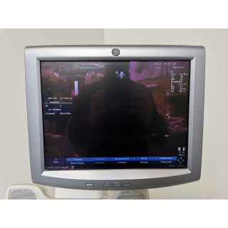 Cardiac Ultrasound Probe &ndash; GE Healthcare &ndash; 3S &ndash; Kardiale Ultraschallsonde