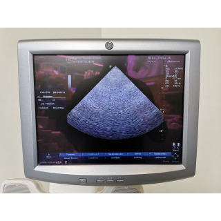 Cardiac Ultrasound Probe &ndash; GE Healthcare &ndash; 3S &ndash; Kardiale Ultraschallsonde
