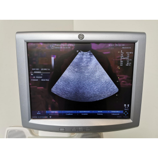 Micro Convex Ultrasound Probe &ndash; GE Healthcare &ndash; 8C &ndash; Mikrokonvexe Ultraschallsonde