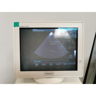 Phased Array Ultrasound Probe &ndash; GE Medical Systems &ndash; 3S &ndash; Phased-Array-Ultraschall-Schallkopf