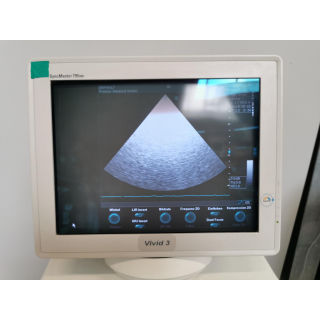 Phased Array Ultrasound Probe &ndash; GE Medical Systems &ndash; 3S &ndash; Phased-Array-Ultraschall-Schallkopf
