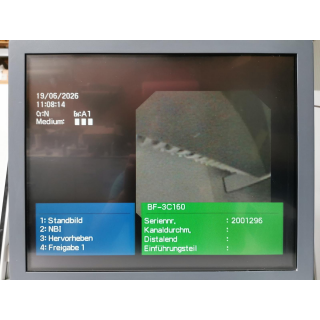 Video Bronchoscope &ndash; Olympus Medical &ndash; BF-3C160 &ndash; Video-Bronchoskop