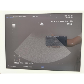 Ultrasound System with Probes &ndash; Aloka &ndash; ProSound &alpha;6 + IPF-1503 / Probes &ndash; Ultraschallsystem mit Sonden