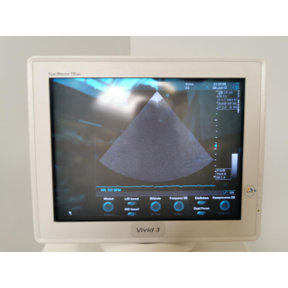 Ultrasound Probe &ndash; GE Healthcare &ndash; 3S &ndash; Ultraschallsonde