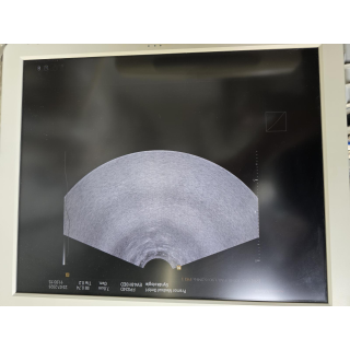 Endocavity Ultrasound Probe &ndash; Samsung Medison &ndash; EV4-9/10ED &ndash; Endokavit&auml;re Ultraschallsonde